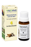 VitalGlobuli Nr. 4 Lernbereitschaft Bachblütenmischung – 10 g Globuli