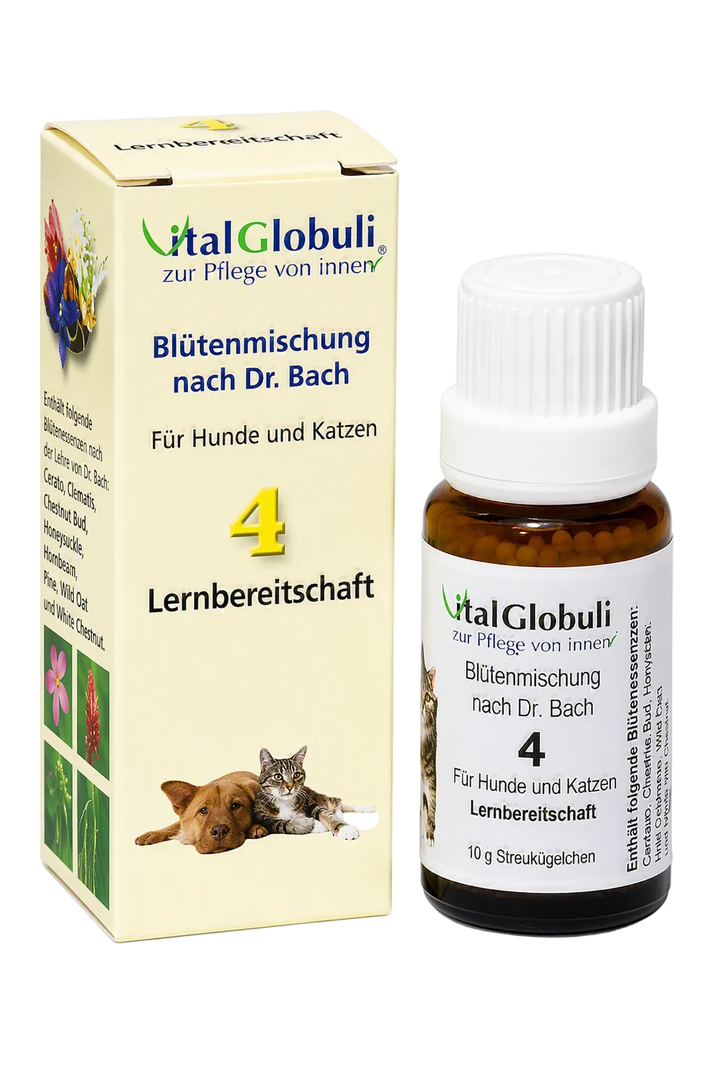 VitalGlobuli Nr. 4 Lernbereitschaft Bachblütenmischung – 10 g Globuli