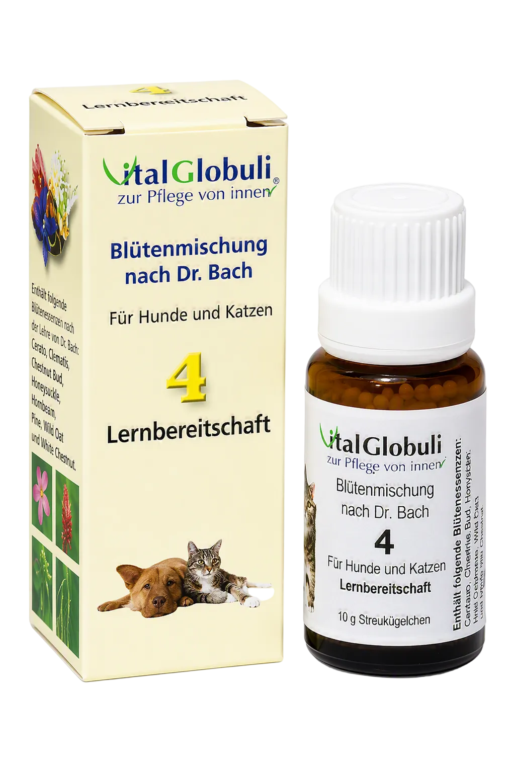 VitalGlobuli Nr. 4 Lernbereitschaft Bachblütenmischung für Hunde und Katzen