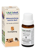 VitalGlobuli Nr. 5 Erschöpfung Bachblütenmischung – 10 g Globuli