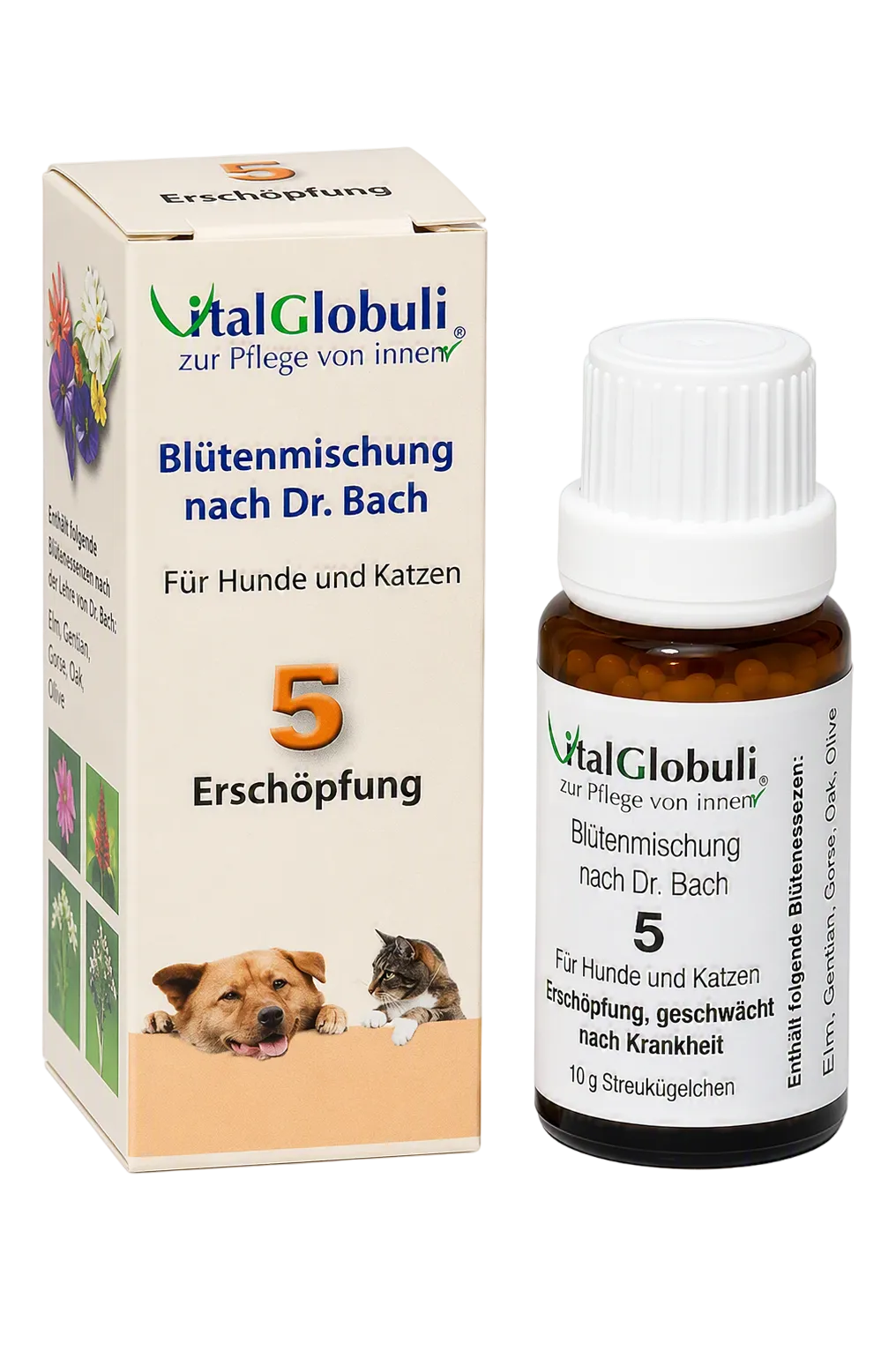 VitalGlobuli Nr. 5 Erschöpfung Bachblütenmischung – 10 g Globuli