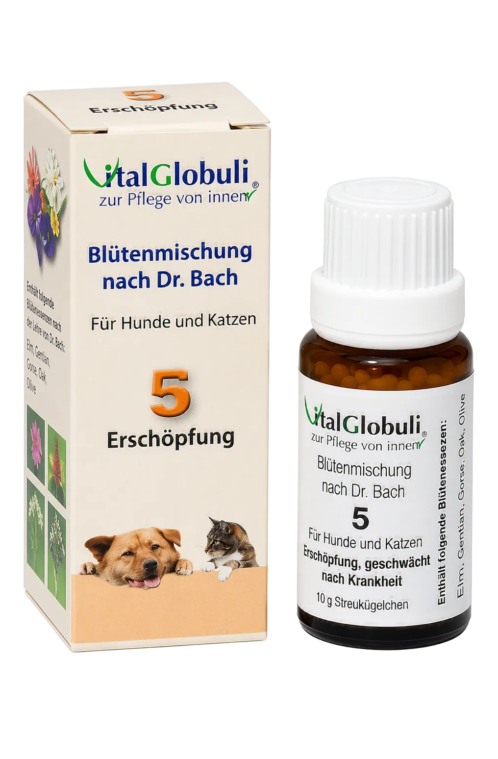 VitalGlobuli Nr. 5 Erschöpfung Bachblütenmischung für Hunde und Katzen
