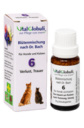 VitalGlobuli Nr. 6 Verlust und Trauer Bachblütenmischung – 10 g Globuli